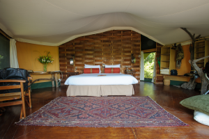Interior of a spacious tent with a bed, wooden walls, rug, chair, shelves, and greenery outside.