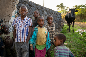 Six children standing near a stone wall with a black cow in a rural outdoor setting.