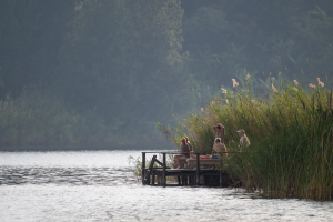 Group of people sitting on a wooden dock by a lake surrounded by tall grasses and forest.