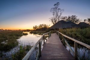 Wooden boardwalk over wetland leading to thatched huts at sunset with clear sky.