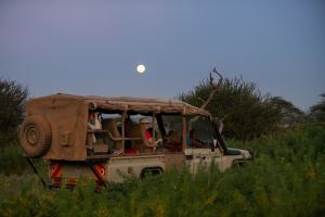Open safari vehicle with passengers in grassy landscape under a full moon in the evening sky