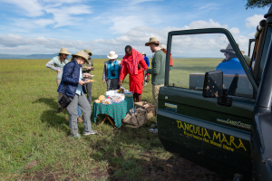Tourists enjoying a picnic with a Maasai guide next to a safari vehicle in the Masai Mara savanna.