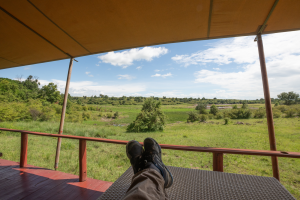 View from a covered deck showing a green savannah with giraffes in the distance under a partly cloudy sky