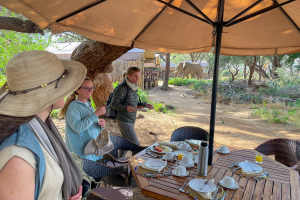 Three people near an outdoor dining table set under an umbrella with an elephant in the background.
