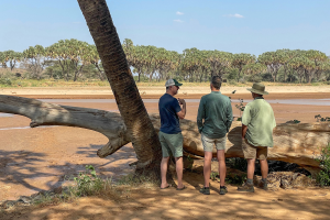 Three men stand by a fallen tree trunk near a dry riverbed with palm trees and wildlife.